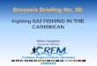 Brussels Briefing No. 38...Brussels Briefing No. 38: Fighting IUU FISHING IN THE ... seafood resources ... threat to the sustainable management of fisheries resources Combatting IUU