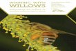 Ian McIvor WILLOWS Trevor Jones Manon Gabarret Blandine ... · Trevor Jones Manon Gabarret Blandine Polturat June 2015 WINNING WITH WILLOWS. Pollen from willows is one of the most