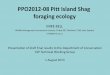 PPO2012-08 Pitt Island Shag foraging ecology · 2018-05-25 · POP2012-08 Pitt Is. shag foraging ecology •Endemic to the Chatham Islands •Nationally endangered •High – Moderate