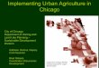 Implementing Urban Agriculture in Chicago · Implementing Urban Agriculture in Chicago City of Chicago Department of Zoning and Land Use Planning – Sustainable Development Division