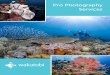 Pro Photography Services - Wakatobi of pro photography services that includes one-on-one workshops and