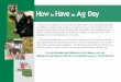 How Have Ag Dayalthough they can weigh as much as 13 pounds or as little as 1.5 pounds. Hens start laying at 22 weeks of age. Laying hens produce about 240 eggs each year. During the
