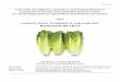 Sample Costs to Produce and Harvest Romaine Hearts ...Final 2019 Romaine Hearts Costs & Returns Study Central Coast UC Cooperative Extension-Agricultural Issues Center 5 necessary,