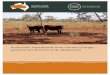 pastoral production and adaptation - Home - Ninti One...Australian rangelands and climate change – pastoral production and adaptation 6 1. relocating fences and tracks away from