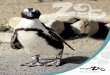 2014 Annual Report - The Toledo Zoo & Aquarium · 2019-12-19 · 2014 was a high ˜ying year for the Toledo Zoo and I’m not just talking about our incredible Year of Flight exhibits