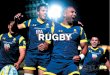 RUGBY - Creative Images · 2017-07-04 · Please Note: Colour availability may vary depending on style; stocked colours are shown for each product in this brochure, however colours