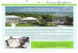 Marjory Stoneman Douglas Biscayne Nature Center, …...$5,000 to our Annual Fund campaign will help bring sunshine, fresh air and fun to kids who are thirsty for a day by the beach
