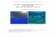 Chagos Archipelago Vava II Expedition, March 20-April 1, 2016In terms of nesting turtle numbers, the most important atolls (specifying the top five islands in terms of body pit data)