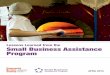 Lessons Learned from the Small Business …...Lessons Learned from the small Business Assistance Program3 Each of these organizations was able to leverage their existing outreach and