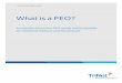 What is PEO - Sandhill | Business Strategy for Software ...sandhill.com/wp-content/files_mf/whatisapeo.pdf · Four: PEOs help minimize your company’s risk. Your organization needs