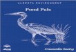A L B E R T A E N V I R O N M E N T - albertaparks.ca · 2.0 Pre-Field Study 4 2.1 Making a Pond 4 3.0 Field Study 12 4.0 Post-Field Study Activities 16 5.0 References and Further