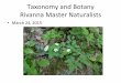 Taxonomy(and(Botany( RivannaMaster(Naturalists( · Biological classification of Flowering Dogwood • Kingdom: Plantae Division: Anthophyta Class: Angiospermae Order: Cornales Family: