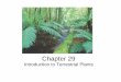 Plants I Chapter 29 - WCJCfacultyweb.wcjc.edu/users/kevind/documents/BIOL... · Kingdom Plantae • Characteristics (notice characteristics that ... Plant Characteristics Continued