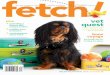 vet quest - Petplan · holly russel lou tenney contributing pet dog-in-chief montgomery ashton ... editors in the doghouse In our “Birds & Bees” issue Pet Person interview, we