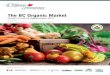 Growth, Trends & Opportunities, 2013 · The BC Organic Market: Growth, Trends & Opportunities, 2013 3 TAbLE Of CONTENTS ExECuTivE SuMMary .....5 SECTiON i BC OrganiC ShOppErS: