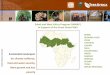 Sahel and West Africa Program (SAWAP) in Support of the ... · Sustainable Land and Water Management Project . $13.75 M total financing GEF: $8.75 M GEF-4: $5 M Govt: TDB . PDO –