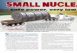 Small nuclear reactors · In a nuclear power plant the chain reaction is maintained at a constant rate and a runaway chain reaction that would cause a nuclear explosion is impossible
