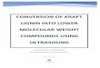 CONVERSION OF KRAFT LIGNIN INTO LOWER MOLECULAR … · Conversion of Kraft lignin into lower molecular weight compounds using ultrasound Group ID: K8-K-4-F19 Page 4 of 79 Preface