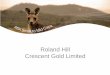 Roland Hill Crescent Gold Limited€¦ · to Kazakhstan style mineralisation • Multiple untested, shallow targets 1600 oil and gas wells • >45