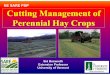 NE SARE PDP Cutting Management of Perennial Hay Cropspss.uvm.edu/pdpforage/Materials/CuttingMgt/Cutting_Mgt... · 2014-11-24 · Scan from p. 45 in Alf Mgt Guide Cutting management