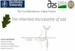 The Fruit Microbiome: A New Frontier...The inherited microbiome of oak Ahmed Abdelfattah Postdoctoral Fellow Department of Ecology, Environment and Plant Sciences Stockholm University