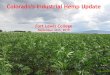 Colorado’s Industrial Hemp Update Program Growth · The term ‘industrial hemp’ means the plant Cannabis sativa L. and any part of such plant, including the seeds thereof and