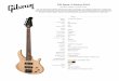 Modern design, classic tones - Gibson...Modern design, classic tones The new 2018 Gibson EB bass delivers truly classic tones thanks to the perfect combination of swamp ash body, two