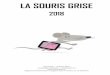 LA SOURIS GRISE · ScreenKids – La Souris Grise contact@screenkids.fr – 01 83 81 87 57  Organisme de formation enregistré sous le numéro 11 75 51479 75
