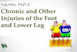 Injuries, Part 3 Chronic and Other Injuries of the Foot ... · Objectives Differentiate between chronic injuries and unique lower leg issues; and their mechanisms, signs, symptoms