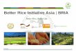 Better Rice Initiative Asia - Legato · German Food Partnership (GFP) Founded in 2012 , more than 35 companies and institutions from the agricultural and food sectors under the patronage
