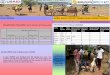 POLIO UPDATES HIGHLIGHTS GLOBAL HEALTH SECURITY AGENDA ... · CGP-GHS , Kenya Somalia as of Q2—Week 5 Project Implementaion (03/01/2020-03/02/2020) POLIO UPDATES HIGHLIGHTS GLOBAL