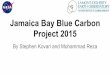 Jamaica Bay Blue Carbon Project 2015 · Jamaica Bay, New York The bay is located between Queens and Kings counties in New York City. Approximately 8 miles long and 4 miles wide -