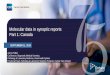 Molecular data in synoptic reports Part 1: Canadacpo-media.net/ECP/2019/Congress-Presentations/1510... · Synoptic Expansion 2010-2012: Expanded synoptic reporting to 63 disease sites,