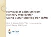 Removal of Selenium from Refinery Wastewater Using Sulfur ... · Selenium Basics Metalloid; common forms: Selenite, Se(IV): SeO 3 2- Selenate, Se(VI): SeO 4 2- Essential nutrient