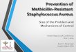 Methicillin-Resistant Staphylococcus Aureus · genotypic chlorhexidine resistance on persistent methicillin-resistant Staphylococcus aureus carriage after decolonization therapy: