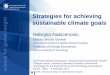 Strategies for achieving sustainable climate goals · Nakicenovic 2013 #13 Energy Access . Energy Security . Climate Change The Key Energy Challenges Air Pollution ... Pachauri et