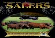 The Balanced, Maternal Breed SalersALBERTA SALERS ASSOCIATION c/o Brian Jones P.O. Box 879, Carstairs, AB T0M 0N0 403-938-6367 (Ph) Brian Jones, Southern Alberta 780-398-2494 (Ph)