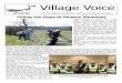 Village Voice ... books, cakes and cards. Refreshments are sold all weekend, including lunches, but