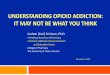 UNDERSTANDING OPIOID ADDICTION: IT MAY NOT BE WHAT … - Carlton... · substance problem”to “severe substance problem” • includes gambling, for the first time (but no other