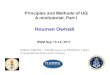 Houman Owhadi - University of California, Los Angeleshelper.ipam.ucla.edu/publications/eltut/eltut_14820.pdf · 2017-09-18 · Houman Owhadi Principles and Methods of UQ A minitutorial,