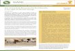 Use of Livestock Resources for Food Security · breeding strategies in place, nor adequate policies, infrastructure, livestock recording schemes or trained staff needed to support
