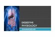 Digestive physiologyreviewed (2) - Sinoe Medical …...Functions of the digestive system Ingestion Mechanical processing Digestion 4 basic digestive processes Secretion Absorption