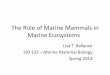 The Role of Mammals & Seabirds in Marine Ecosystemscetus.ucsd.edu/SIO133/PDF/Lecture4-18-14.pdf · The Role of Marine Mammals in Marine Ecosystems . Lisa T. Ballance . SIO 133 –