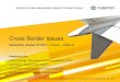 Cross Border Issues · 1/23/2013  · Mexico Cross-Border Issues Air Navigation / Fees 24 Size Wingspan Overflights (flown km) Flights (fuel flat fee) Large More than 38.0 mts and
