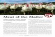 Meat of the Matter - WordPress.com · 2017-03-02 · Poultry; perhaps the oldest pastured poultry operation in the state. When they first dreamed of farming their own plot of land