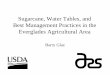Sugarcane, Water Tables, and Best Management Practices in ...erec.ifas.ufl.edu/media/erecifasufledu/docs/pdf/...General BMP Principles Keeping fields flooded and water tables near
