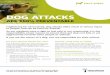 DOG ATTACKS - My Maranoa · Here are some simple steps you can take to keep your dog at home. Boredom/Anxiety • Give your dog toys or items to keep them entertained • Play with