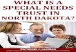 WHAT IS A SPECIAL NEEDS TRUST IN - German Law Group · 2015-11-04 · What is a Special Needs Trust in North Dakota? 2 There is no universally applicable estate plan. The correct