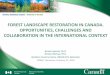 FOREST LANDSCAPE RESTORATION IN CANADA. … · 2018-03-13 · Sustainable Forest Management Each Jurisdictions develops laws and regulations focused on SFM including wildlife, biodiversity,