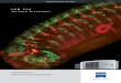 LSM 710 - College of Medicine · Confocal microscopy 20 Innovations in detail 22 ZEN Software 24 Technical data 26 ... molecular biology. 7 The LSM 710 on upright microscopes, such